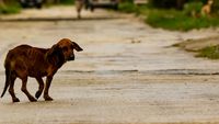 unsplash.com